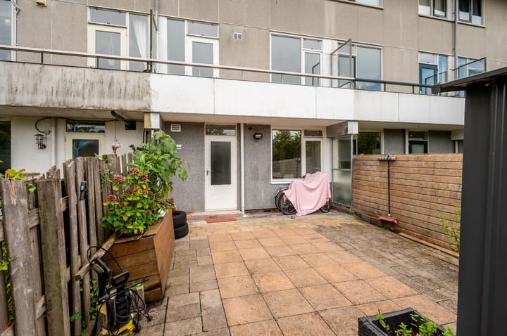 Photo 39 of Strand 43