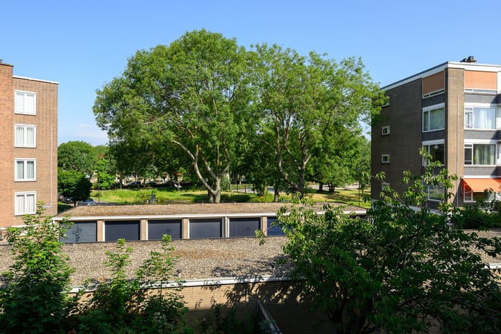 Photo 18 of Monseigneur van Steelaan 33