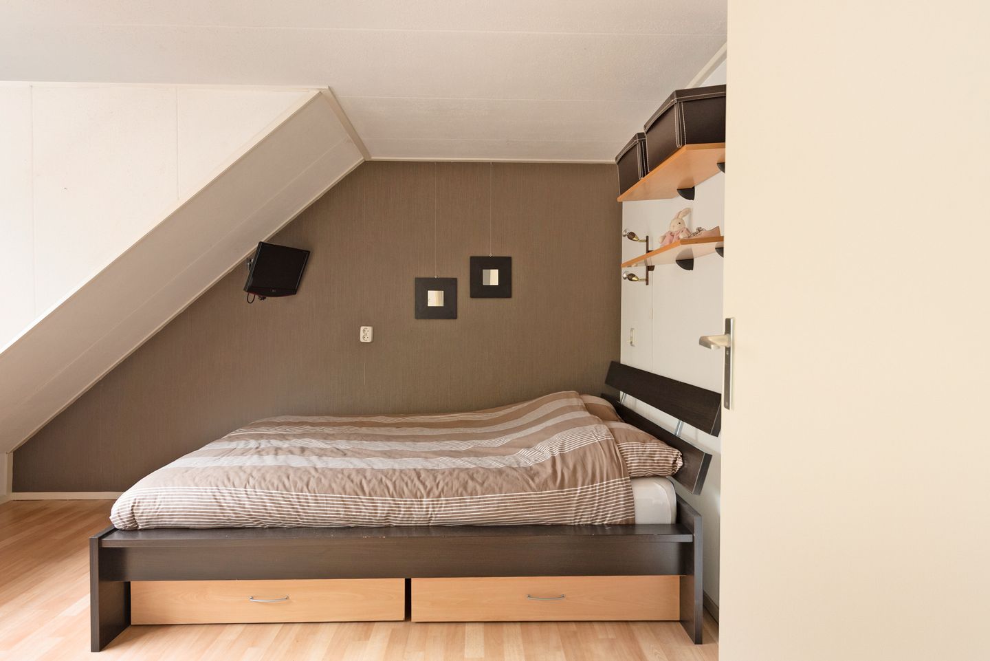 Foto 25 van Kopervlinder 1