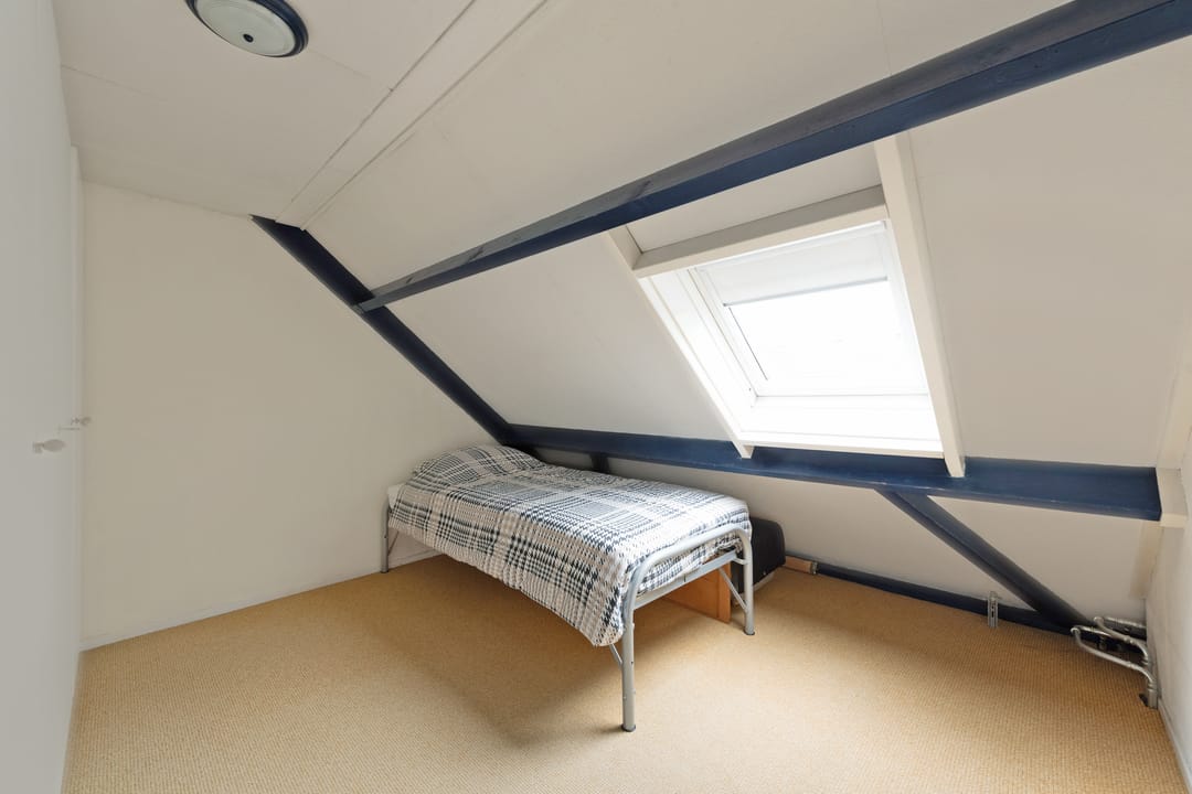 Foto 28 van Kopervlinder 1