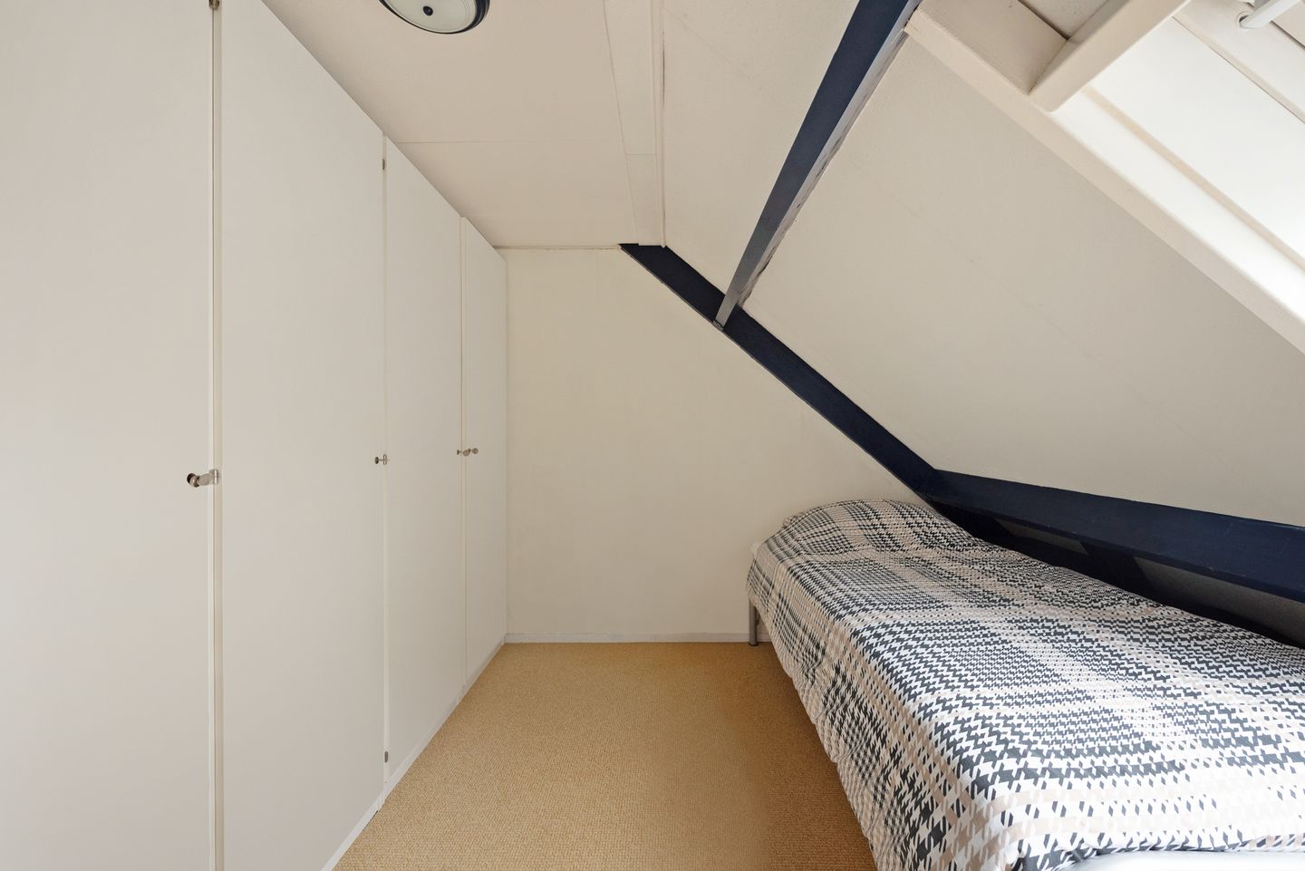 Foto 29 van Kopervlinder 1