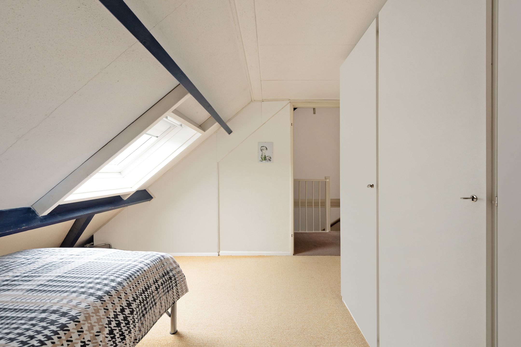 Foto 30 van Kopervlinder 1