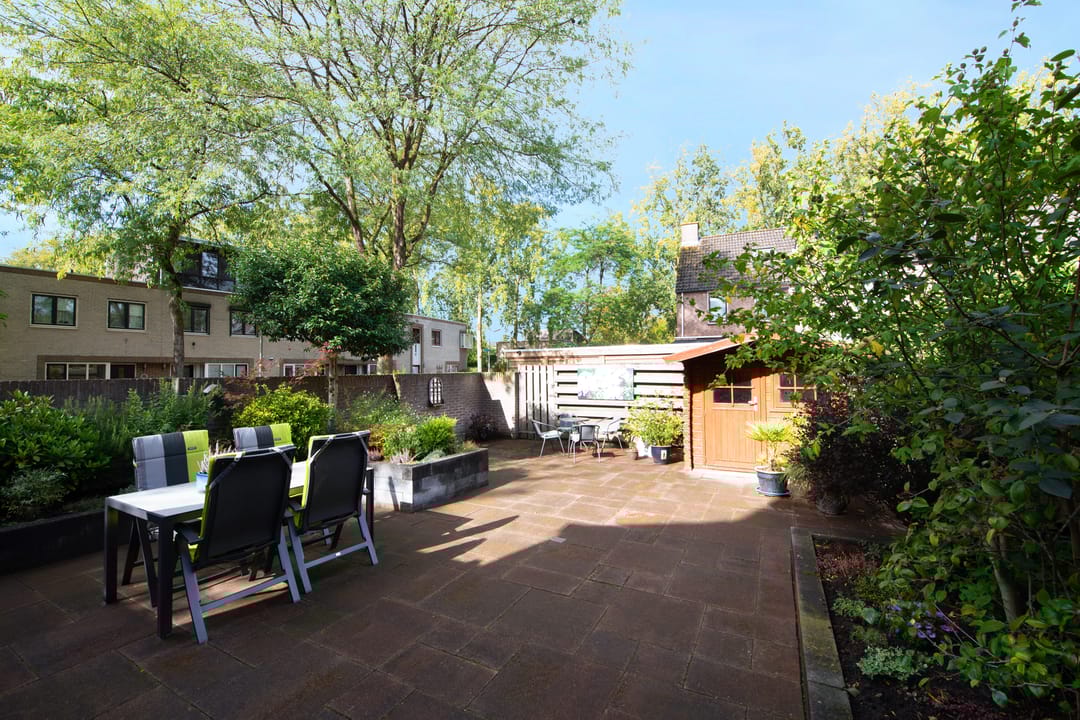 Foto 32 van Kopervlinder 1