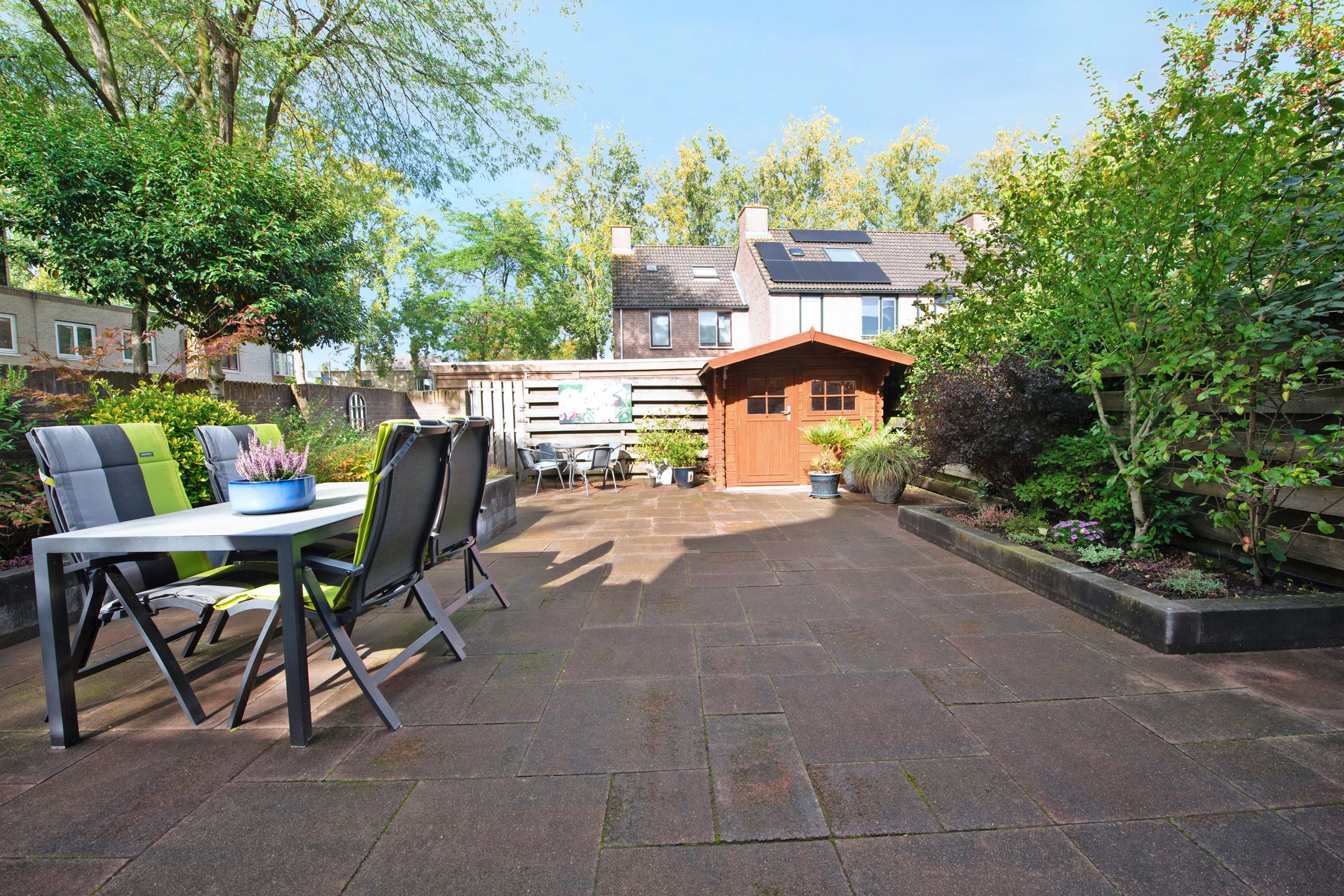 Foto 33 van Kopervlinder 1