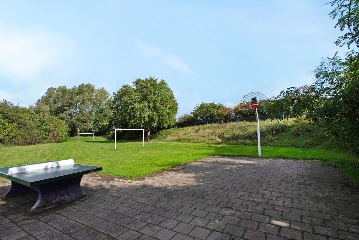 Foto 34 van Kopervlinder 1