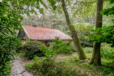 Molenduinen G thumbnail