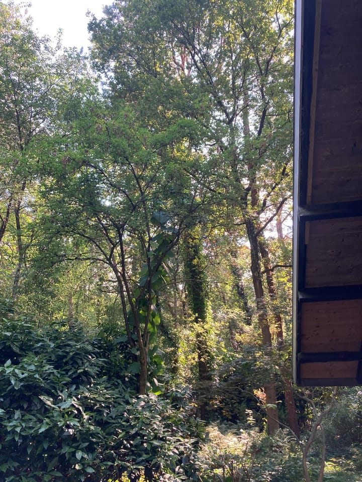 Photo 29 of Molenduinen G 23