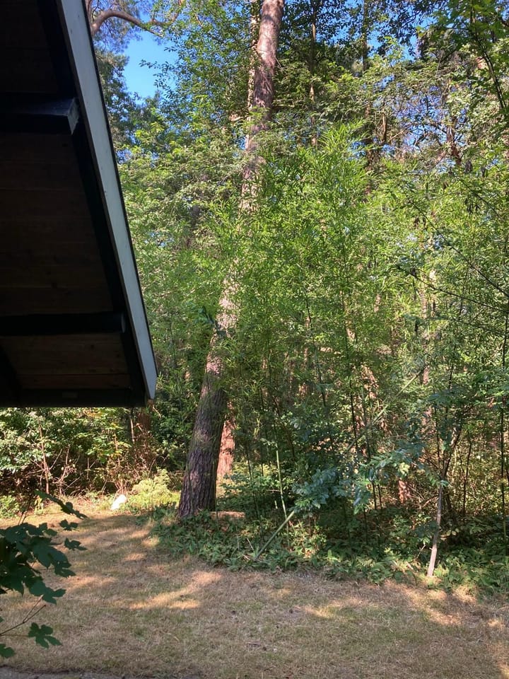 Photo 31 of Molenduinen G 23