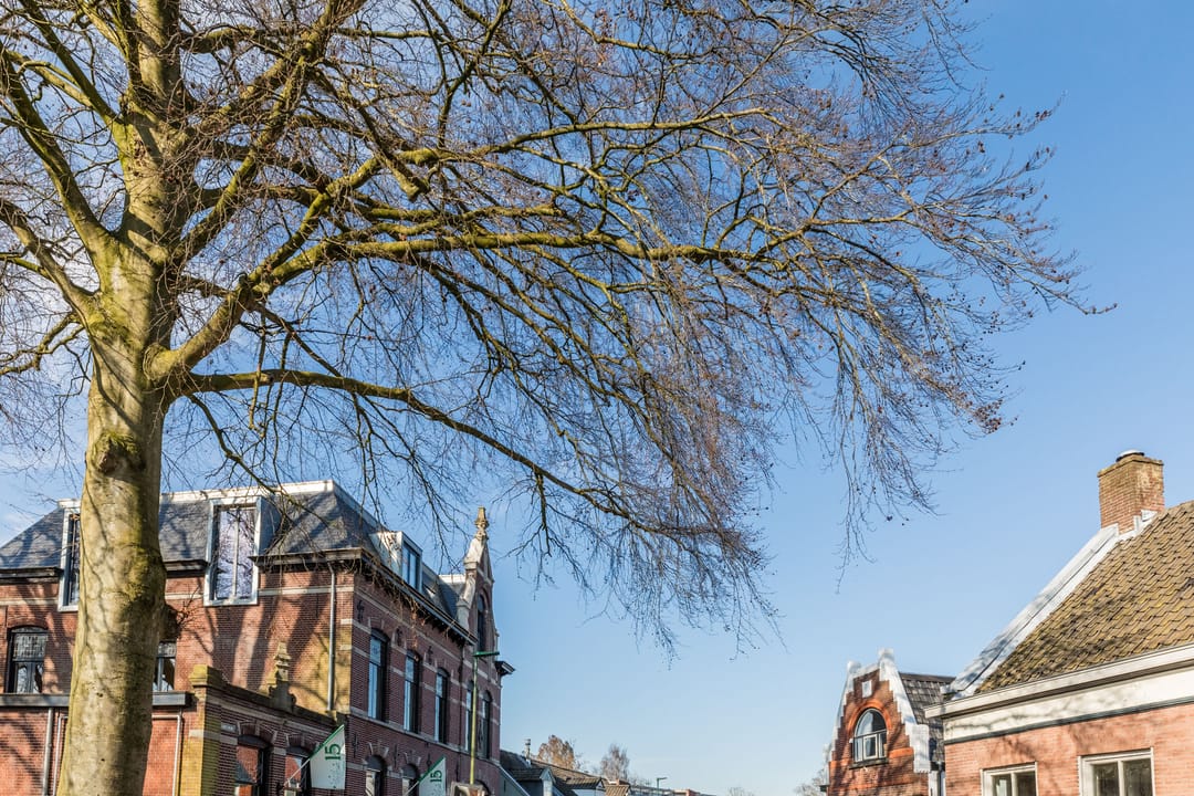 Foto 38 van Hoge Ham 3