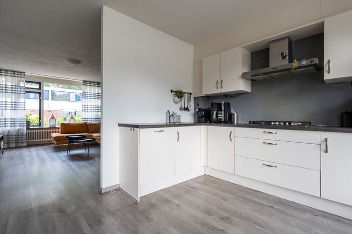 Foto 3 van Laan van de Marel 532