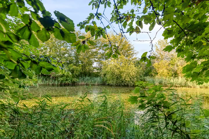 Foto 42 van Patrijspoort 55