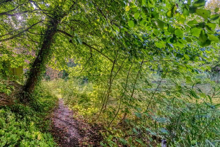 Foto 43 van Patrijspoort 55