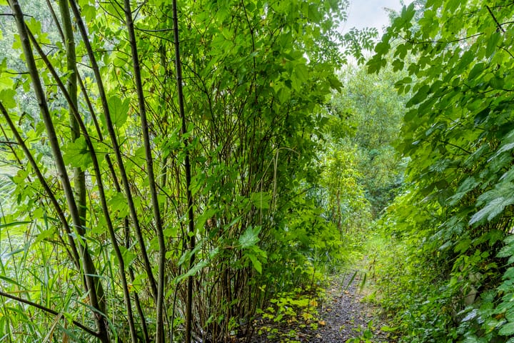 Foto 44 van Patrijspoort 55