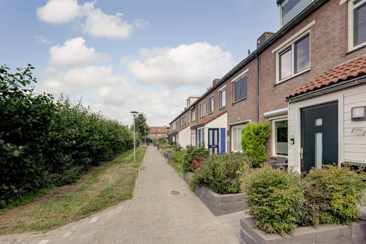 Foto 4 van Hoefblad 99