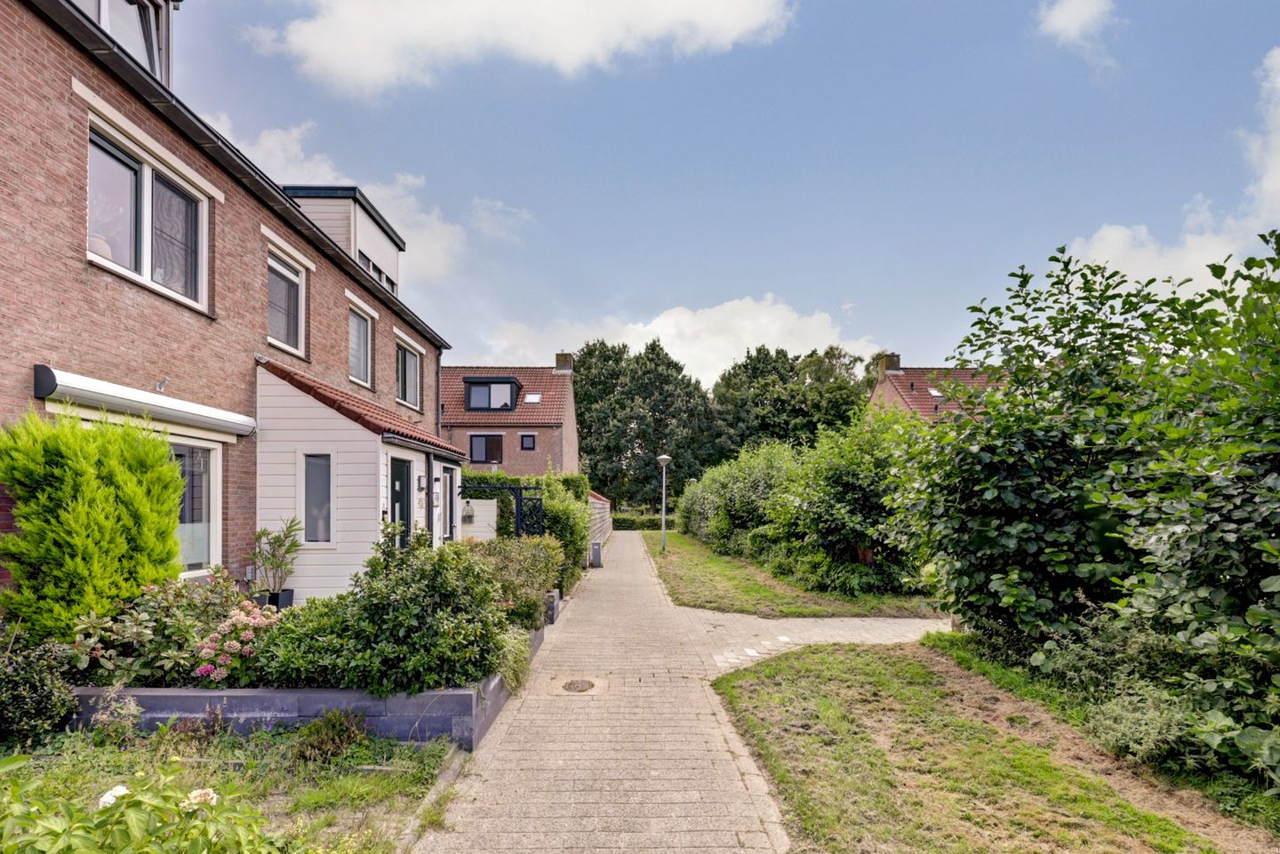 Foto 5 van Hoefblad 99