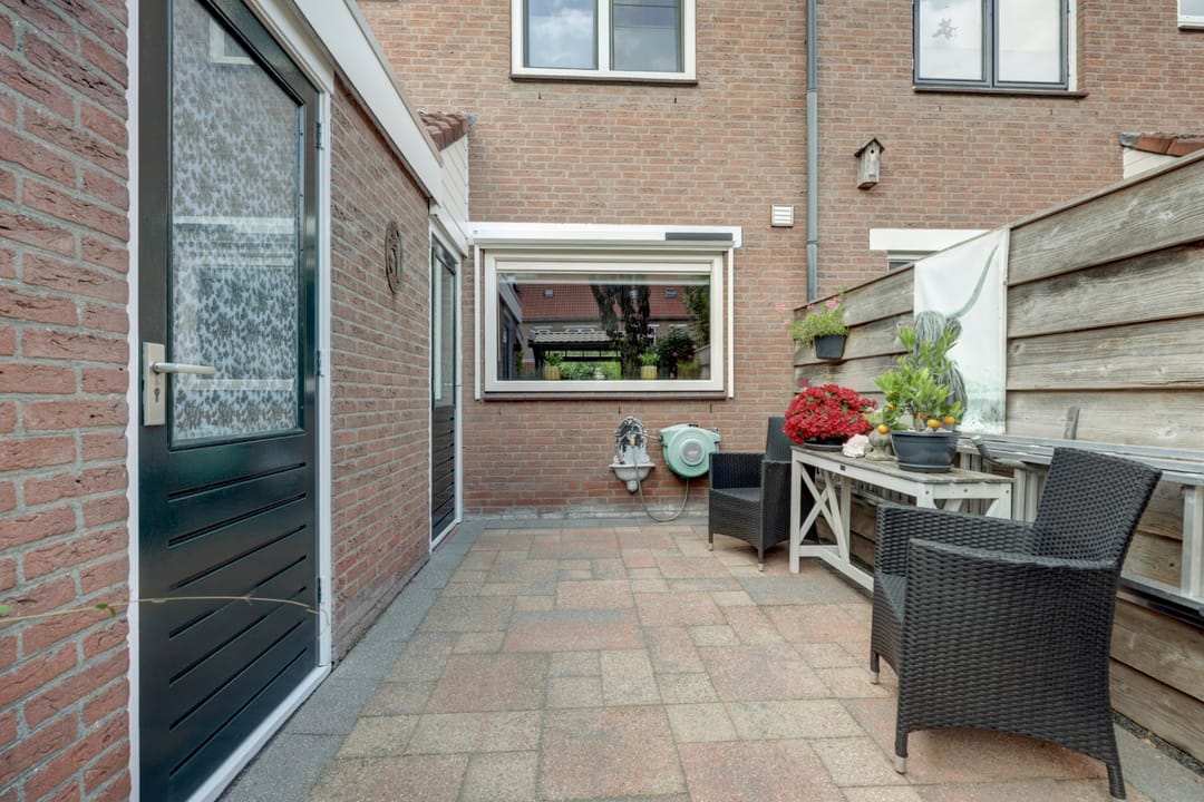 Foto 31 van Hoefblad 99
