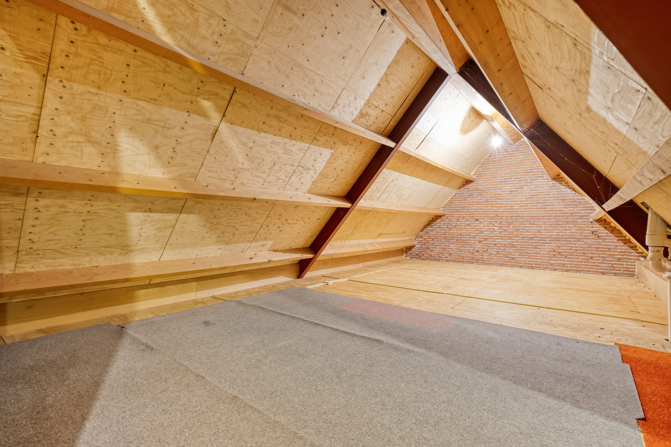 Photo 48 of Bossemaat 14