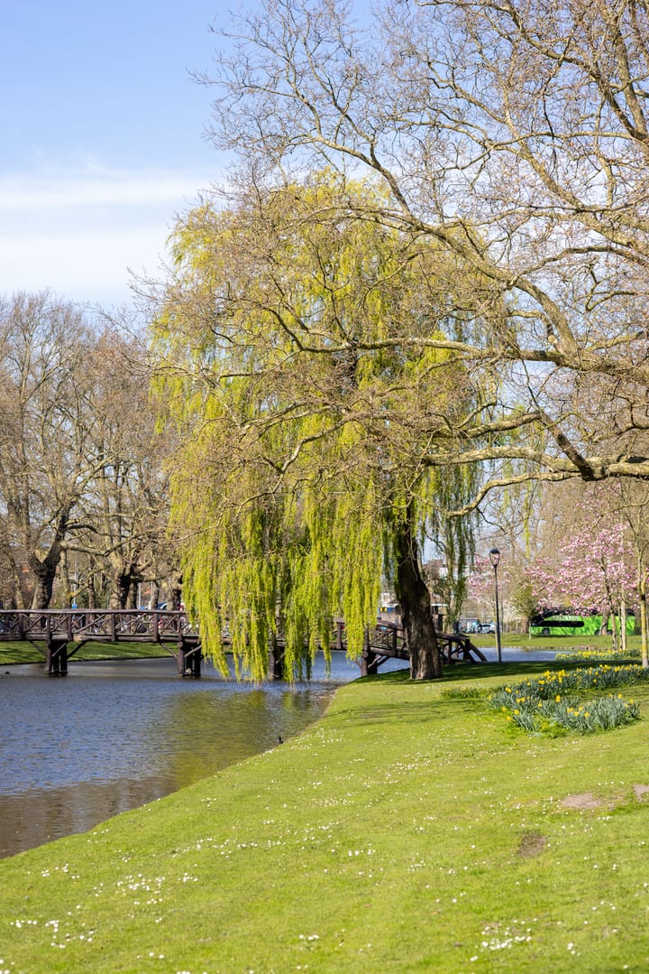 Foto 31 van Graaf Florisstraat 92-B