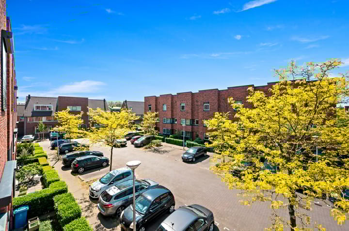 Photo 36 of Juttepeer 32