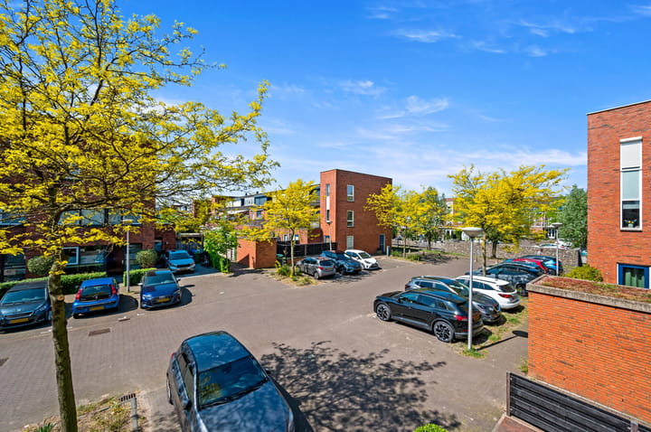 Photo 37 of Juttepeer 32