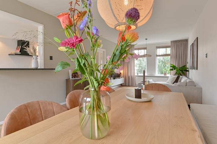 Foto 13 van Algol 11