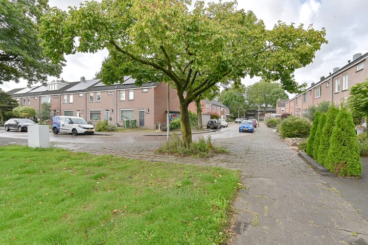 Foto 50 van Algol 11