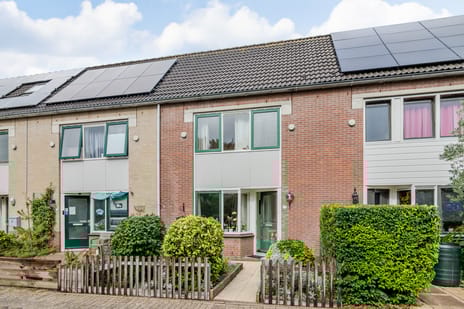 undefined main image