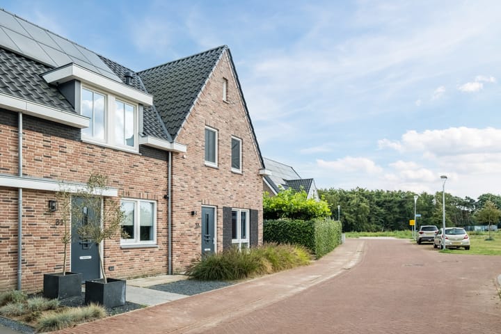 Photo 3 of Molenpad 31