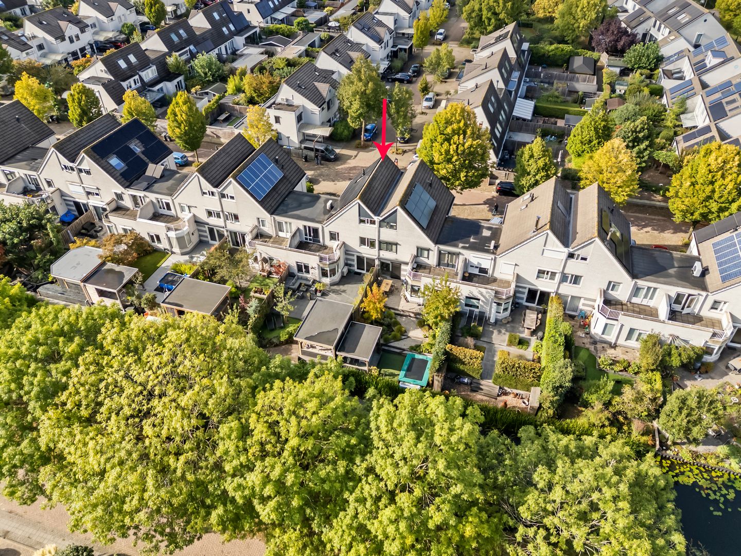 Foto 4 van Mevr.Mr. L. Ribbius Peletierstraat 26