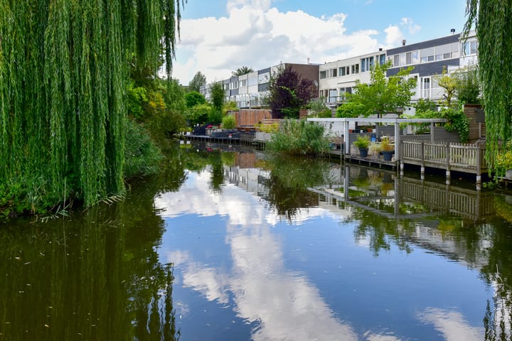 Foto 29 van Bieslook 24