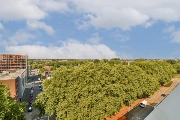 Photo 9 of Koningslaan 328