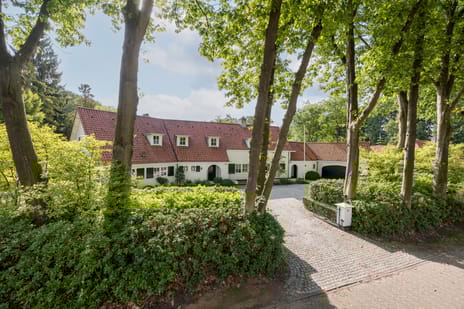 Kivitslaan thumbnail