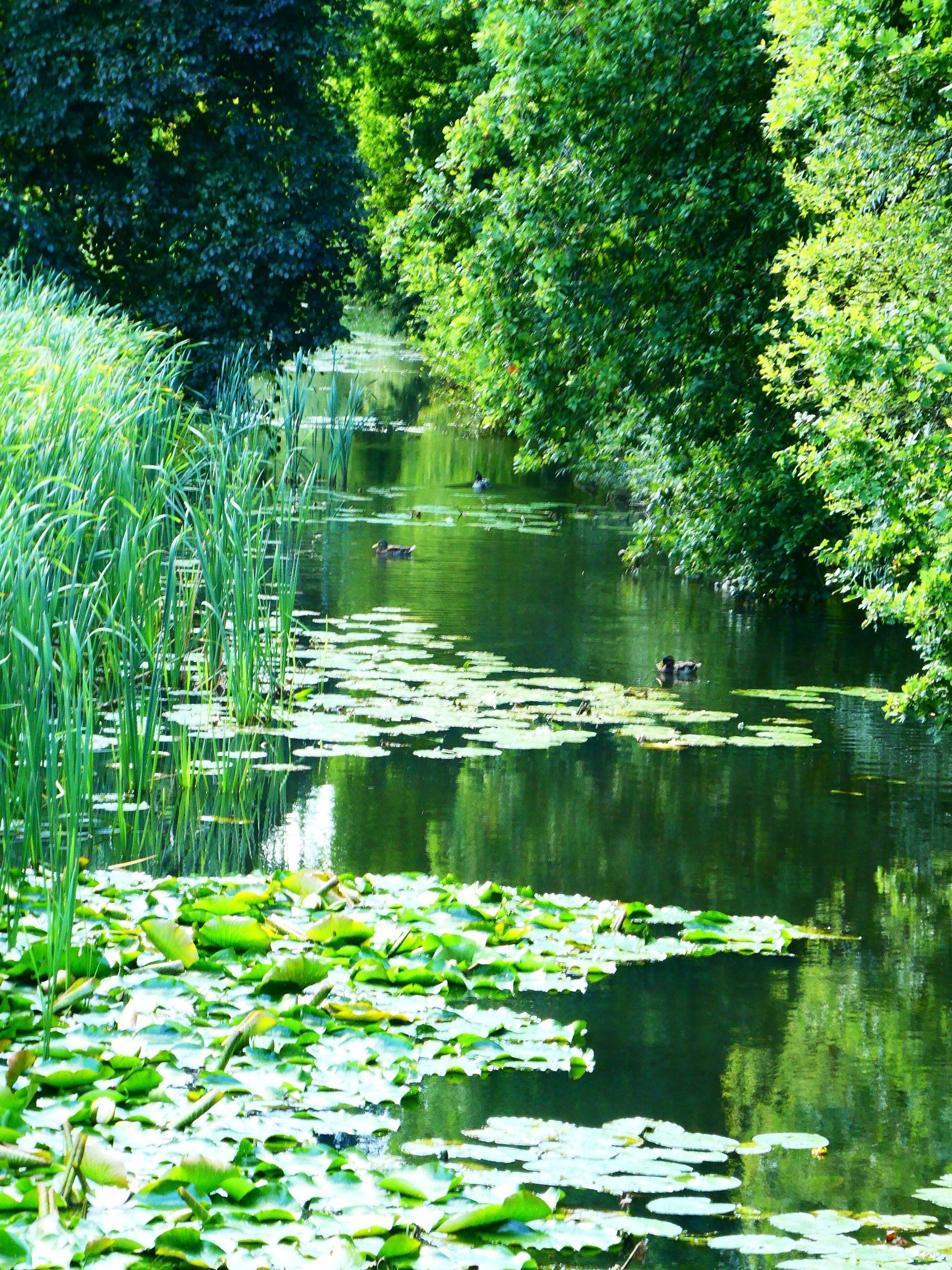 Foto 42 van Kaneelveld 7