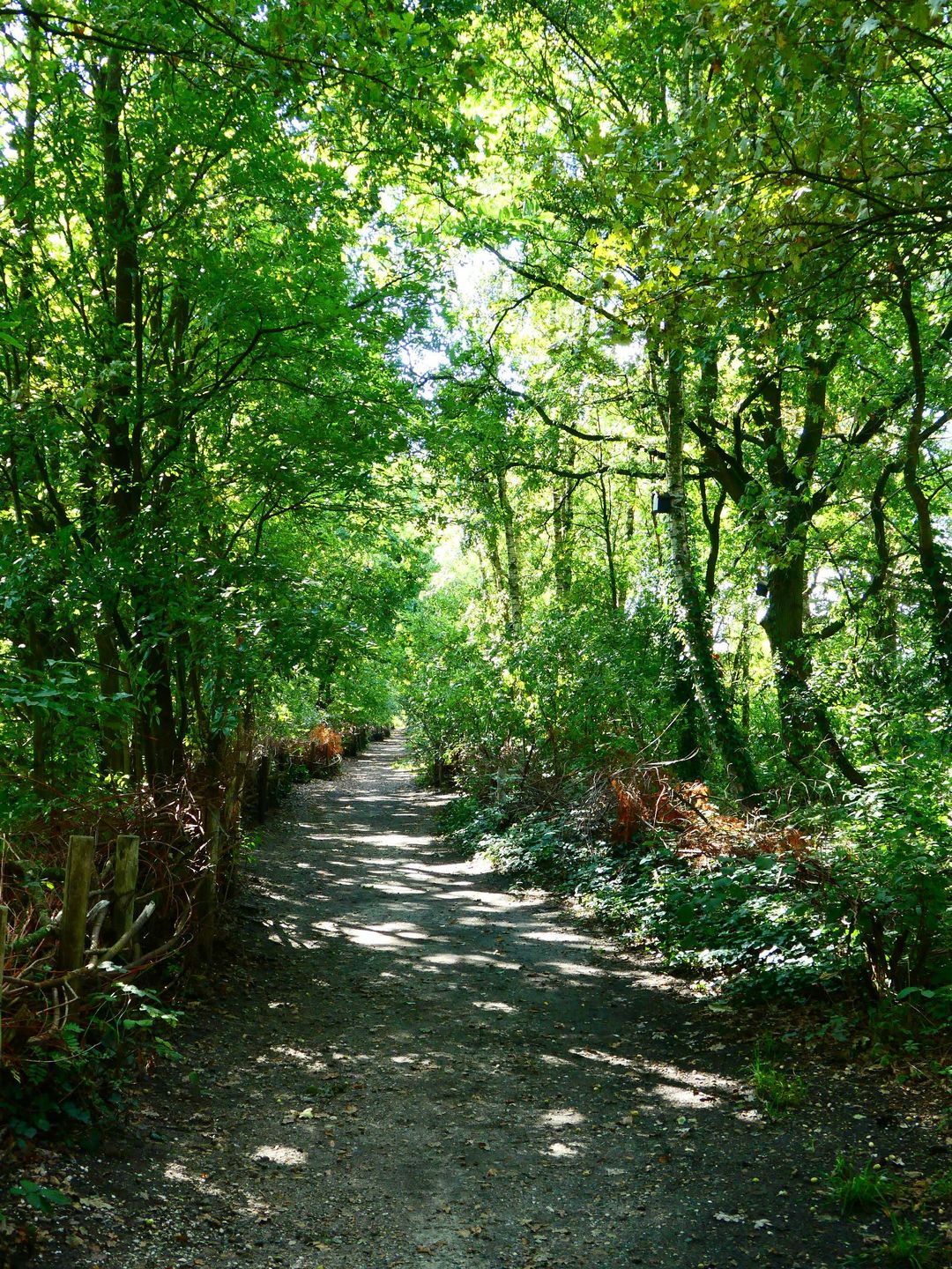 Foto 43 van Kaneelveld 7