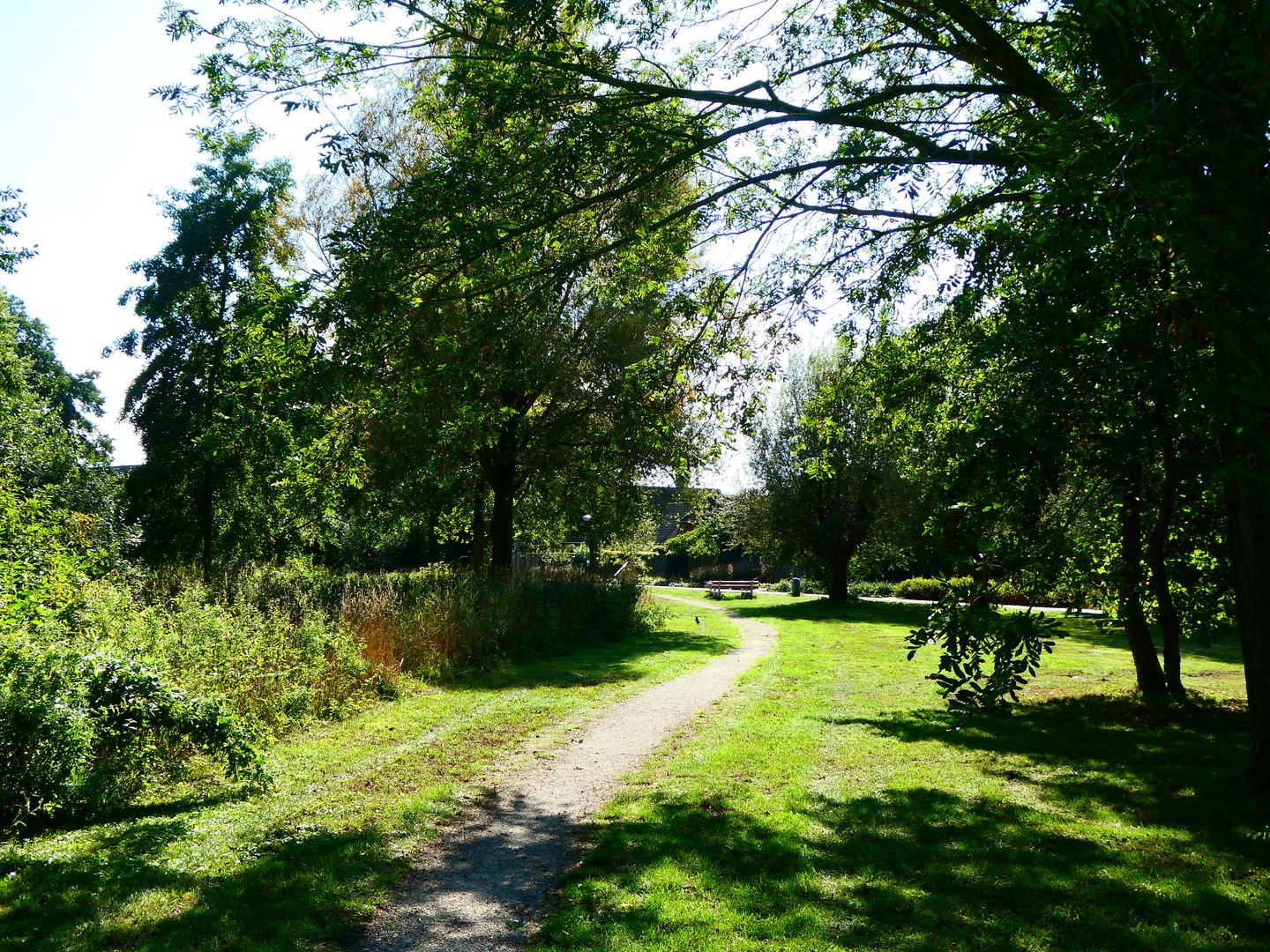 Foto 44 van Kaneelveld 7