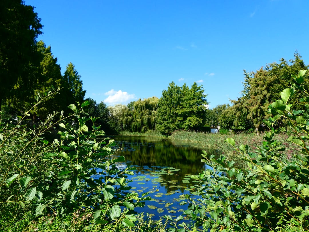 Foto 47 van Kaneelveld 7