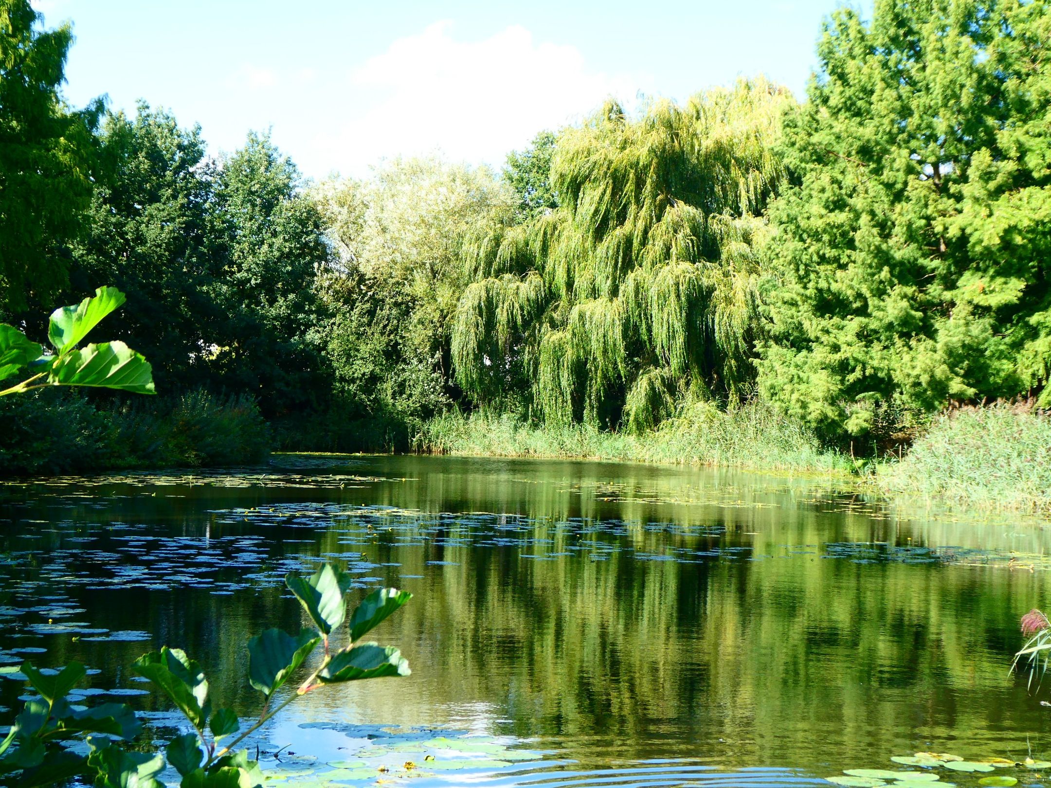 Foto 48 van Kaneelveld 7