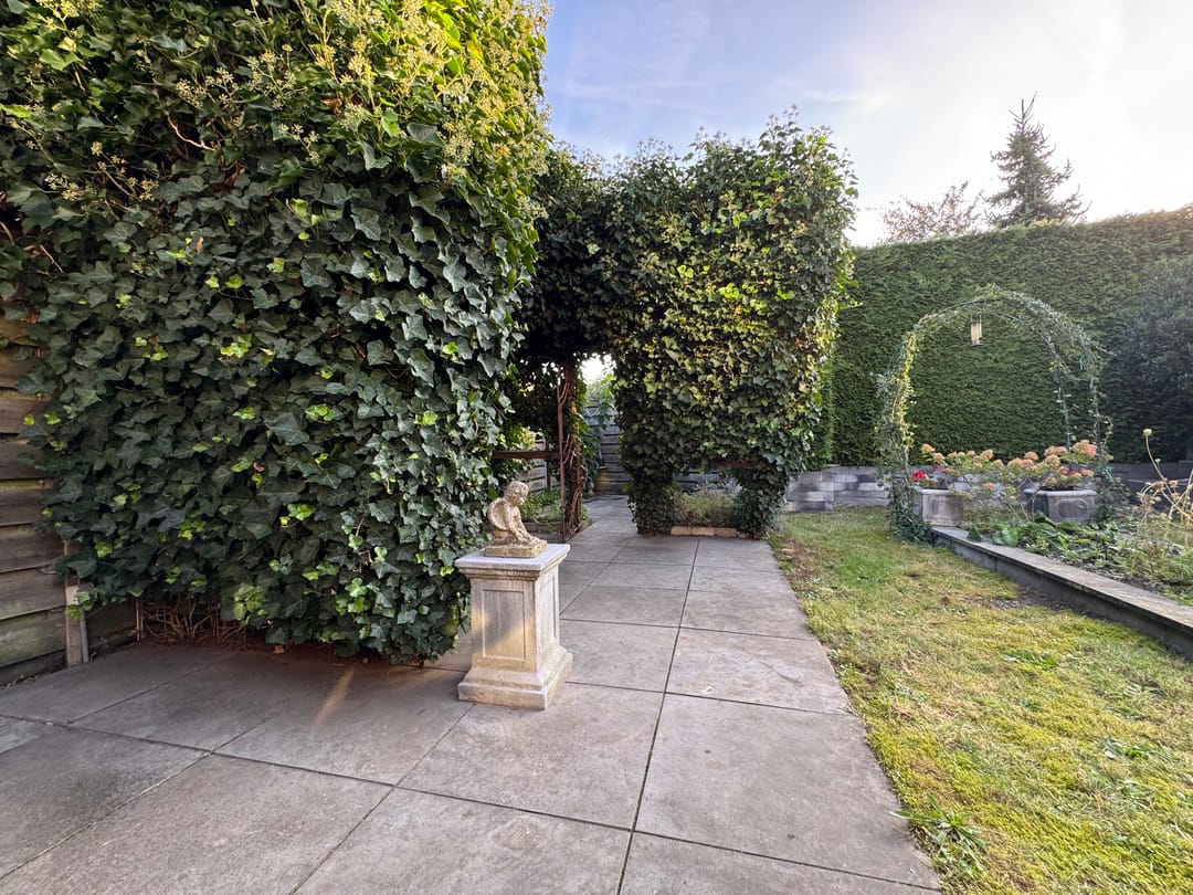 Foto 37 van Kaneelveld 7