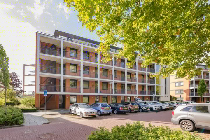 Photo 24 of Polderpeil 164