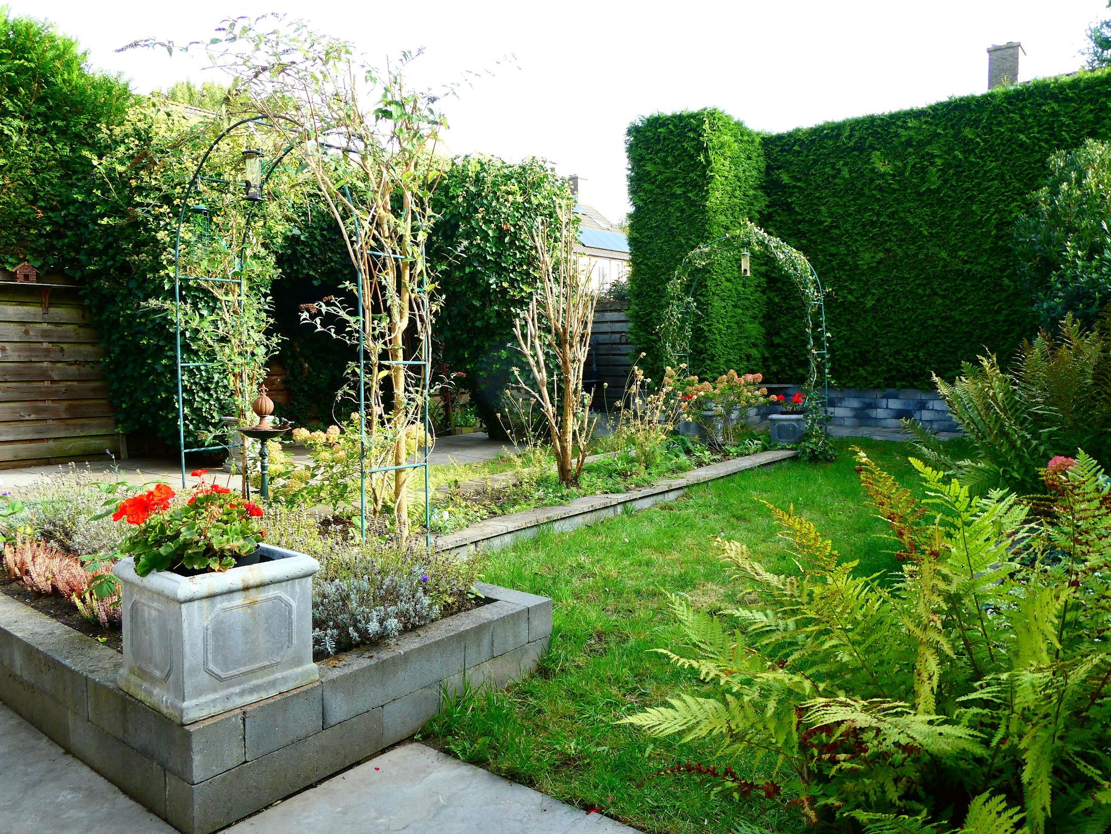 Foto 36 van Kaneelveld 7