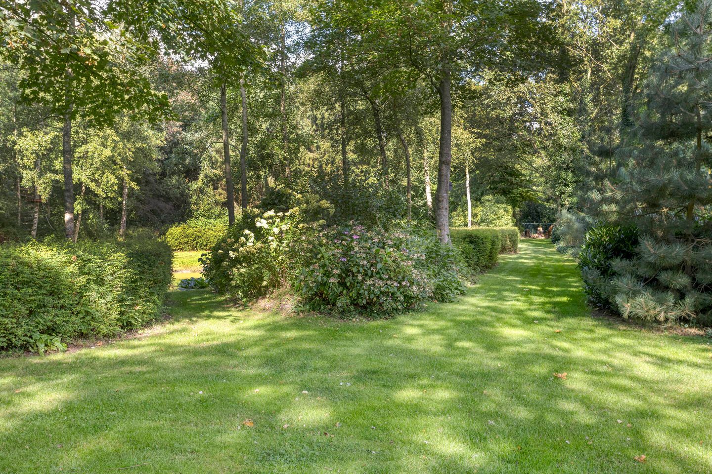 Foto 64 van Schipperswijk 34