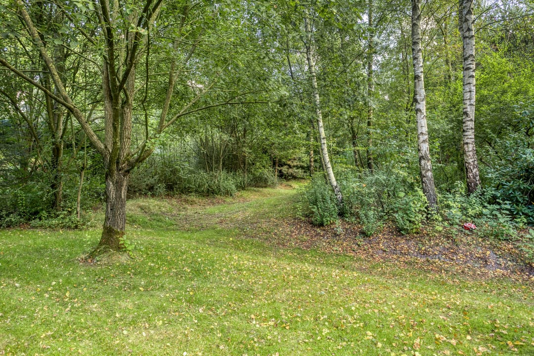 Photo 77 of Schipperswijk 34