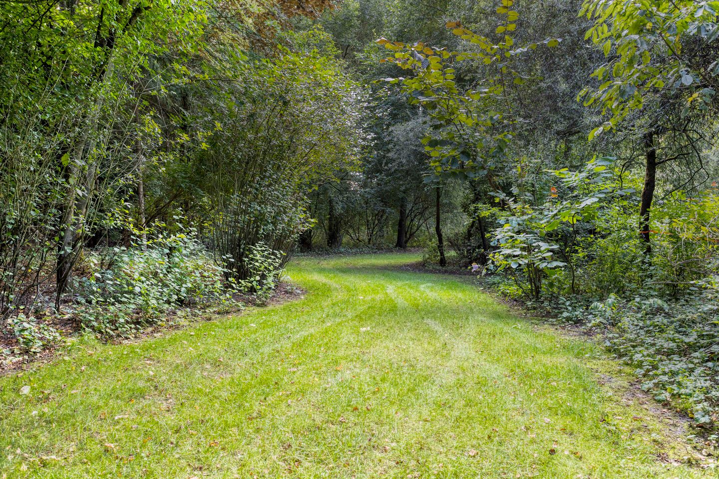 Foto 79 van Schipperswijk 34