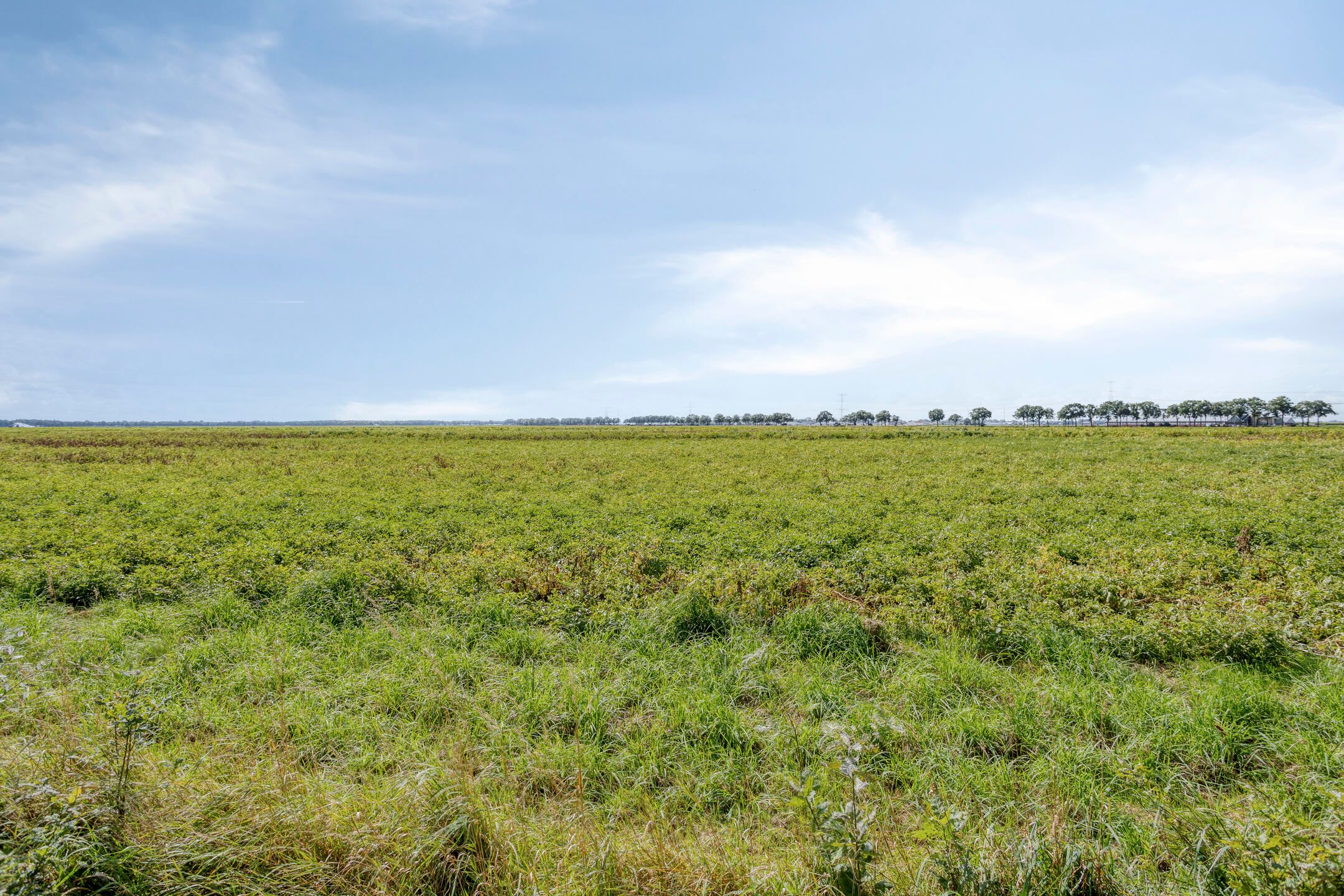 Foto 84 van Schipperswijk 34