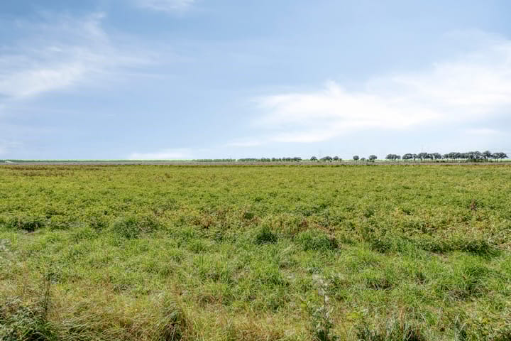 Foto 84 van Schipperswijk 34