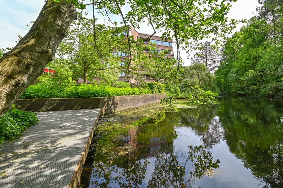 Foto 23 van Provinciënlaan 3-B24