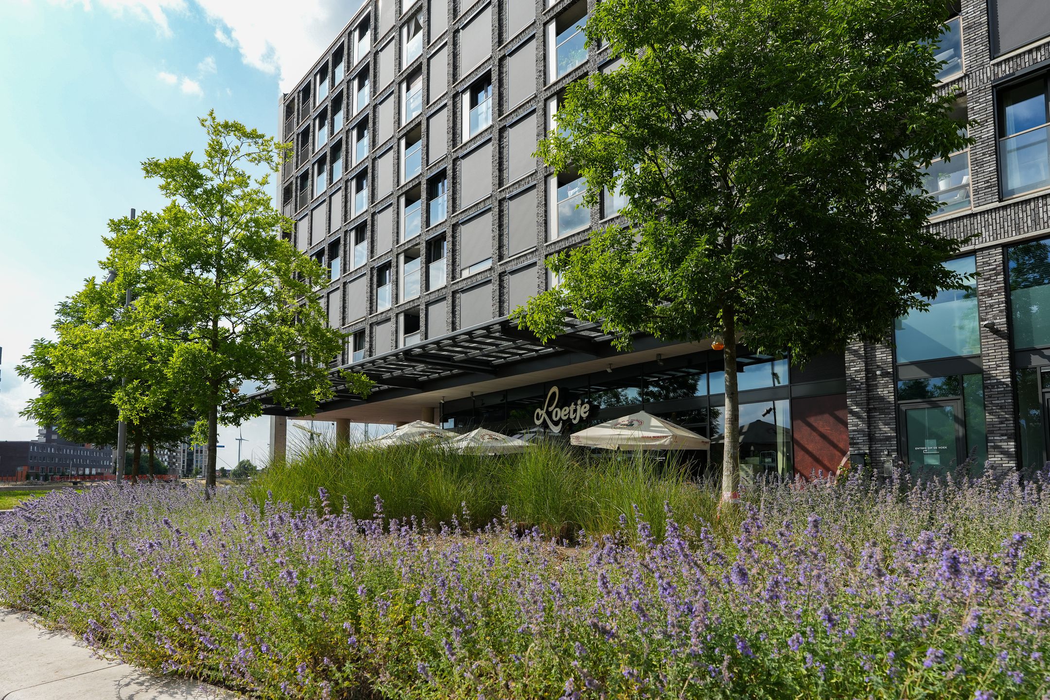 Foto 42 van Dokstraat 41