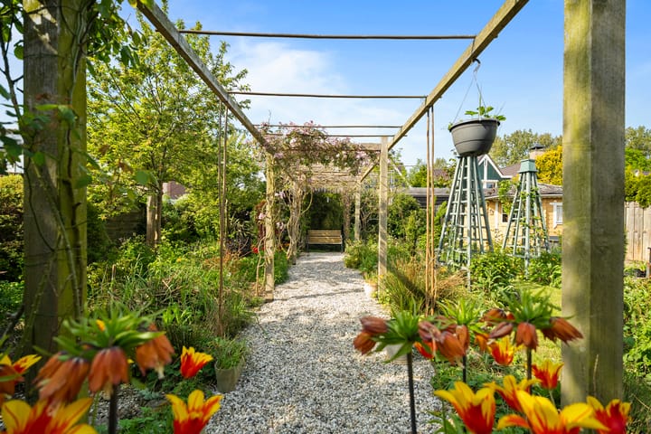 Foto 28 van Lupinestraat 20