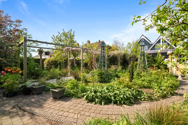 Foto 29 van Lupinestraat 20