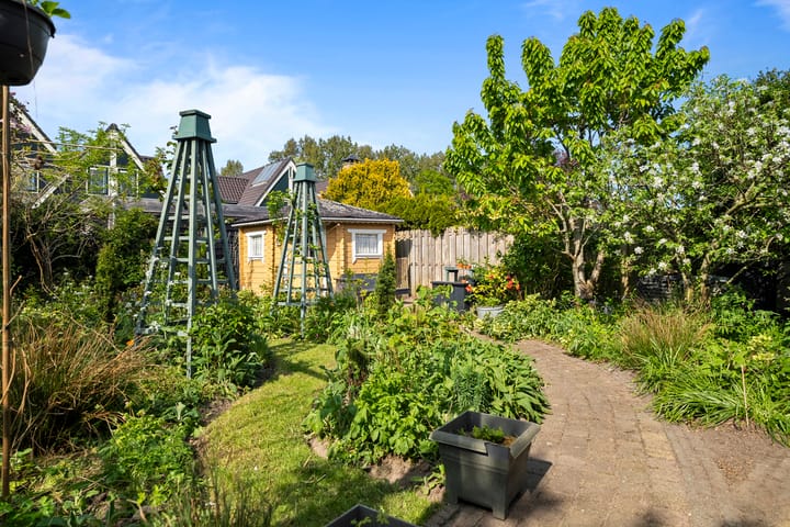 Foto 30 van Lupinestraat 20